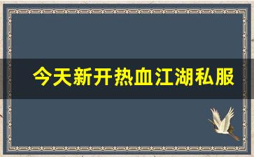 今天新开热血江湖私服 (10)