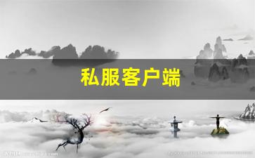 私服客户端 (11)